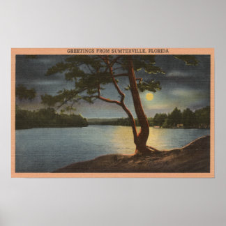 Póster Greetings from Sumterville, Florida - Moon