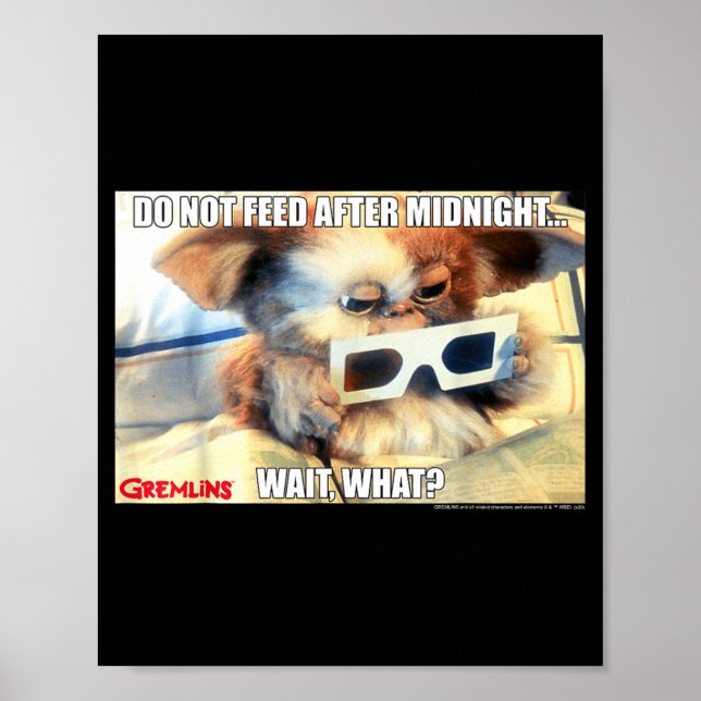 Póster Gremlins Do Not Feed After Midnight Wait What Meme (Frente)