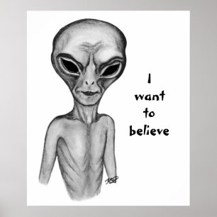 Póster Grey Alien , I want to believe