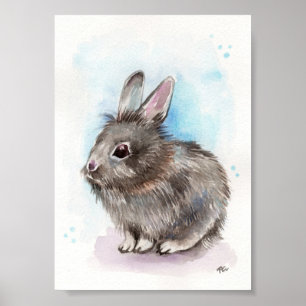 Póster Grey Bunny