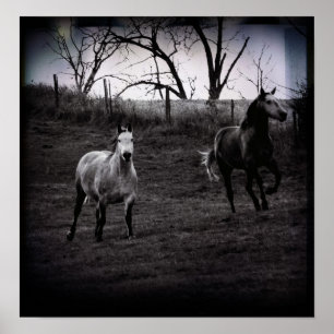 Póster Grey Horses Gallop