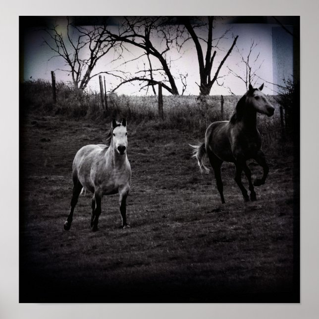 Póster Grey Horses Gallop (Frente)
