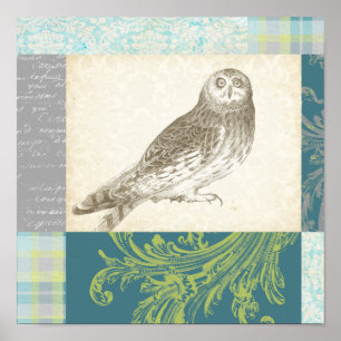 Póster Grey Owl on Pattern Background