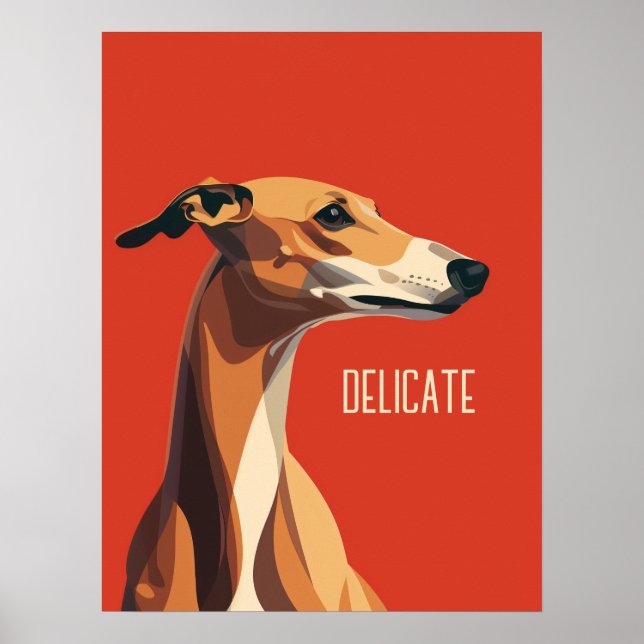 Póster Greyhound Delicado y Marrón (Frente)