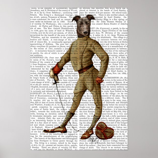 Póster Greyhound Fencer Dark Full (Frente)