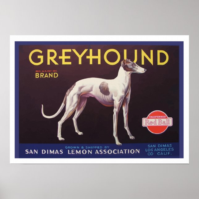 Póster Greyhound Fruit Crate Label (Frente)