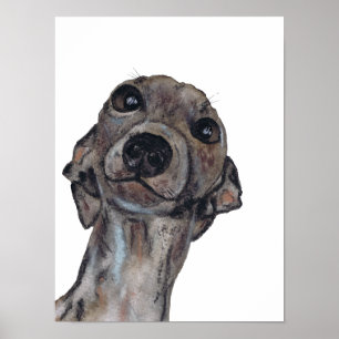 Póster GREYHOUND g909