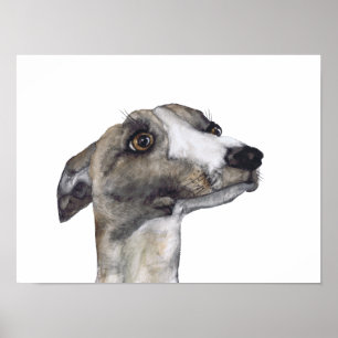 Póster GREYHOUND g918