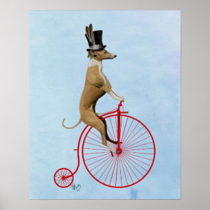 Póster Greyhound sobre Penny Farthing