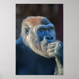 Póster Grin de Gorilla Lope