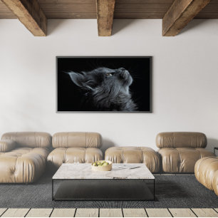 Póster Gris Gray Gatito Adorable con Ojos Verdes
