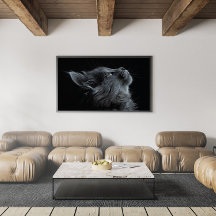 Gris Gray Gatito Adorable con Ojos Verdes