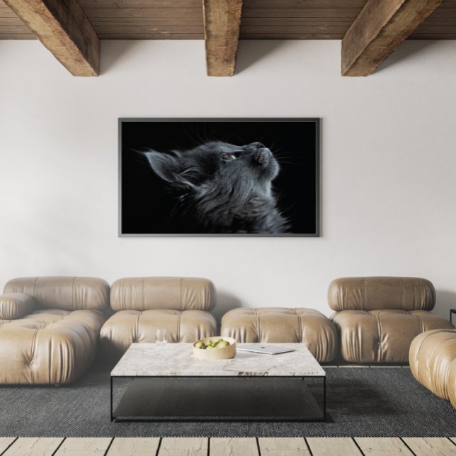 Póster Gris Gray Gatito Adorable con Ojos Verdes (Subido por el creador)