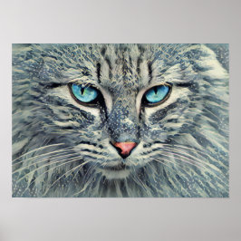 Póster Gris Tabby Cat-Blue Eyes