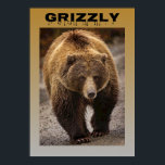 Póster Grizzly<br><div class="desc">Echa un vistazo a esta genial imagen de un gran oso pardo Ol'. Este amo del bosque se vería genial en una pared de un dormitorio o de un jardín. Puedes comprar este poster de oso pardo en mi tienda de impresión bajo demanda. Que tengan un día maravilloso, y como...</div>