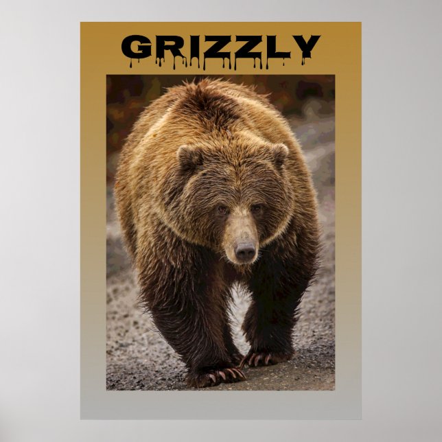 Póster Grizzly (Frente)