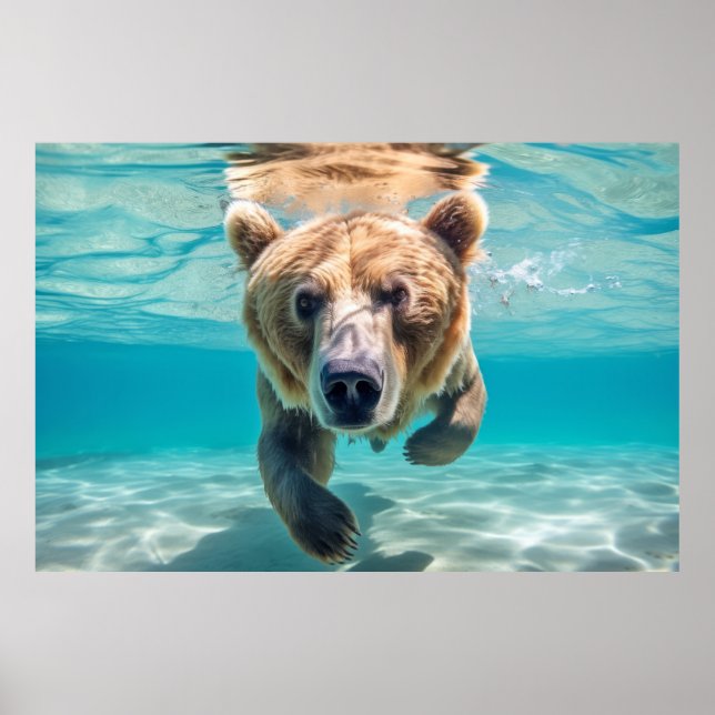 Póster Grizzly Bear Animal Fun Nature Jugando (Frente)