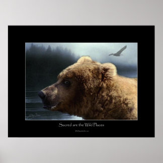 Póster GRIZZLY BEAR Wilderness Art Poster