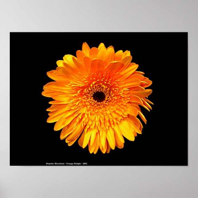 Póster Groovy (Frente)