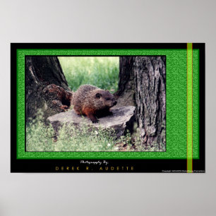 Póster GroundHog 1