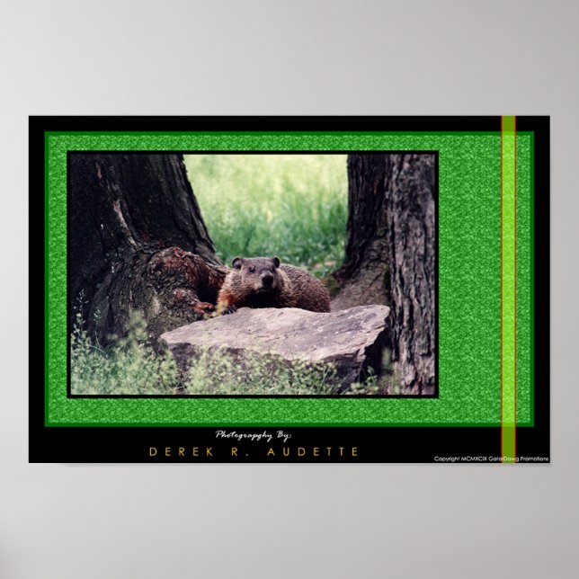 Póster GroundHog 2 (Frente)