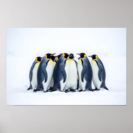 Póster Group of Penguins