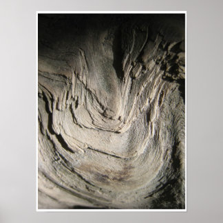 Póster Grove de los patriarcas