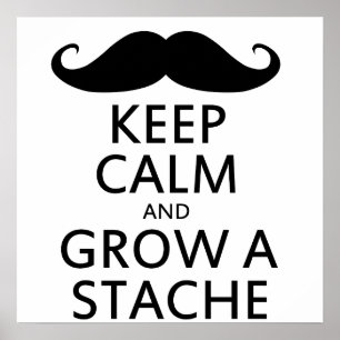 Póster Grow a Stache