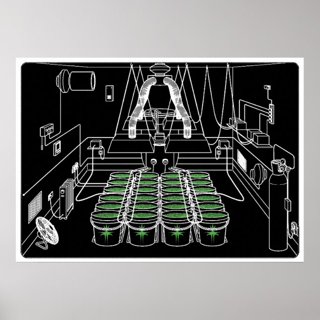 Póster Grow Room Hidroponics (Frente)