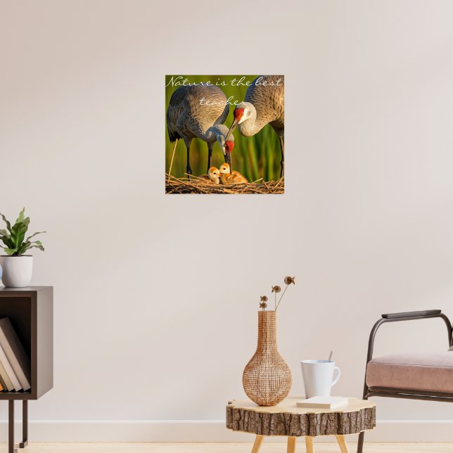 Póster Grúa arenosa cuidando a su joven "Wall Déco" (Salón 3)