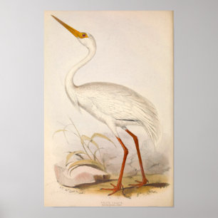 Póster Grúa del blanco de la era del Victorian