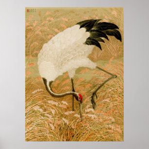 Póster Grúa en campo de arroz