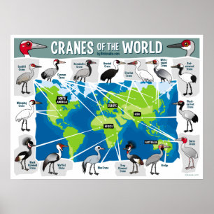 Póster Grúas del mundo