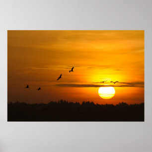 Póster Grullas al amanecer