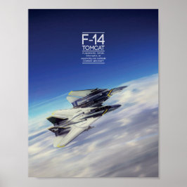 Póster Grumman F-14 Tomcat poster