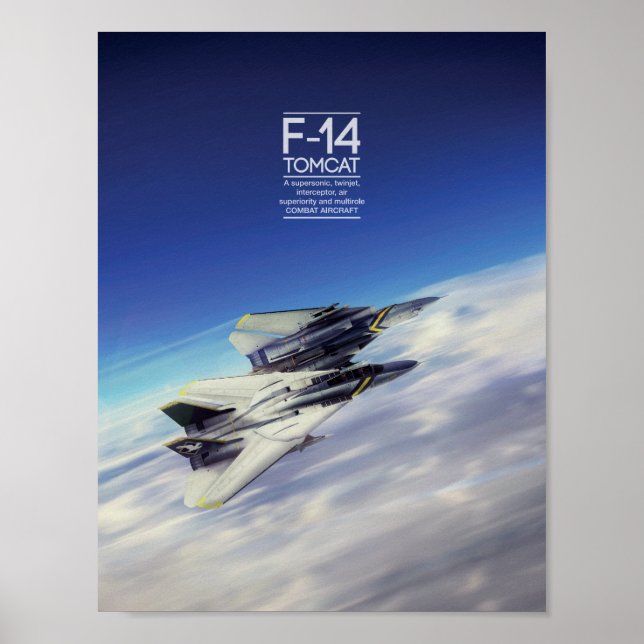 Póster Grumman F-14 Tomcat poster (Frente)