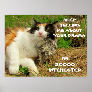Póster Grumpy Calico Cat Drama Sarcasmo