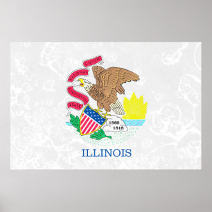Póster Grunge de bandera del estado de Illinois
