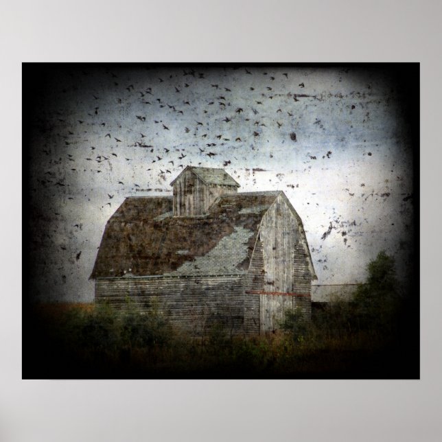 Póster Grunge de granero y pájaros (Frente)