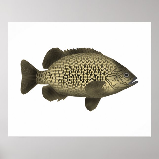 Póster Grunter de carbón (Frente)