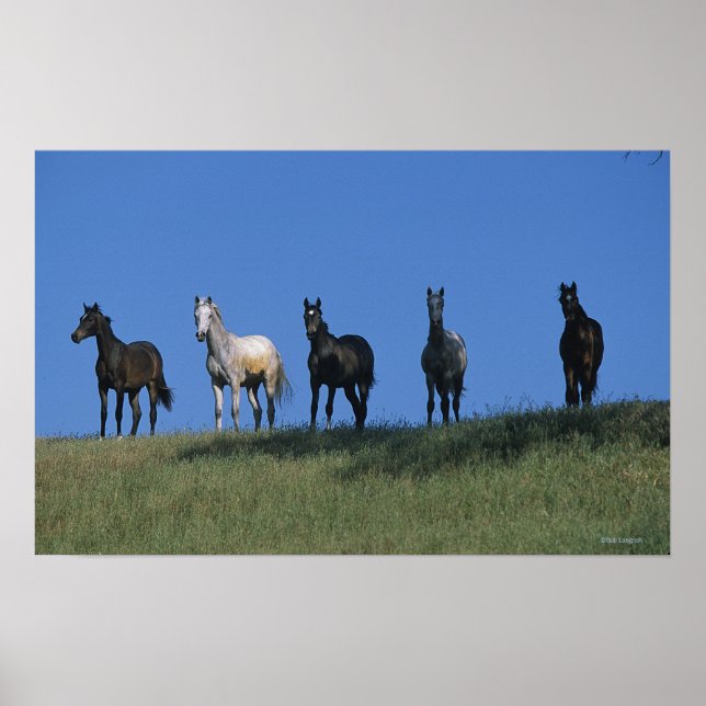 Póster Grupo de árabes (Frente)