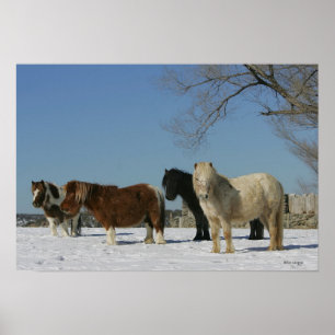Póster Grupo de caballos miniatura en la nieve