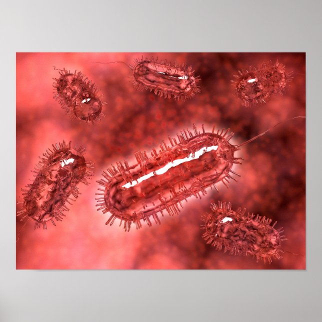 Póster Grupo De Células Bacterianas De Escherichia Coli 2 (Frente)