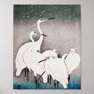 Póster Grupo de Egrets