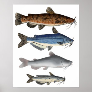 Póster Grupo de pescadores de pescado de Norteamérica