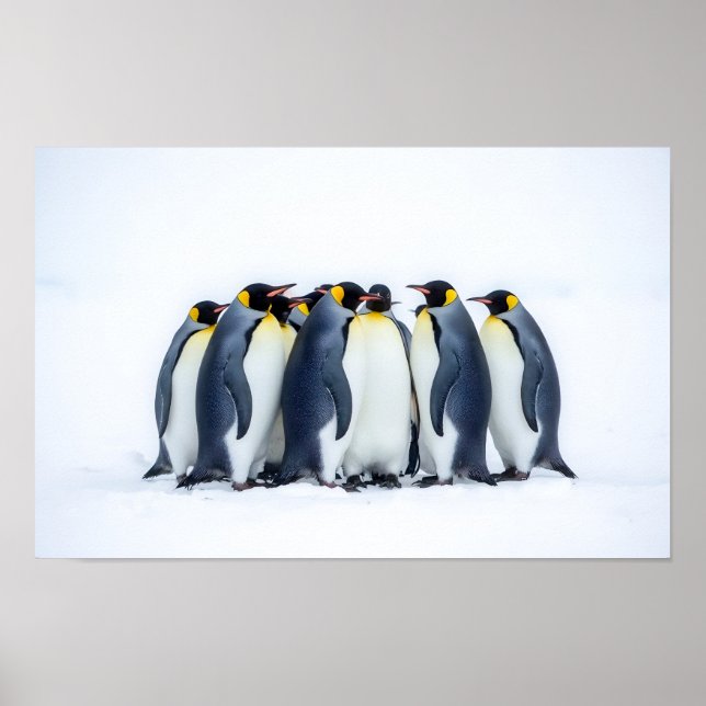 Póster Grupo de Pingüinos (Frente)