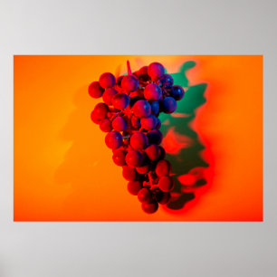 Póster Grupo de uva azul en luz de neón naranja. Alimento