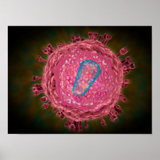 Póster Grupo del Virus del VIH 2