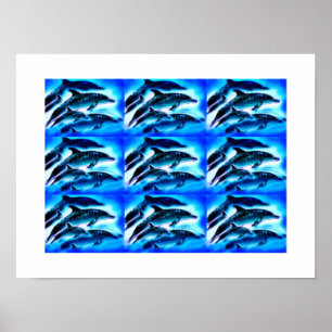 Póster Grupos de delfines