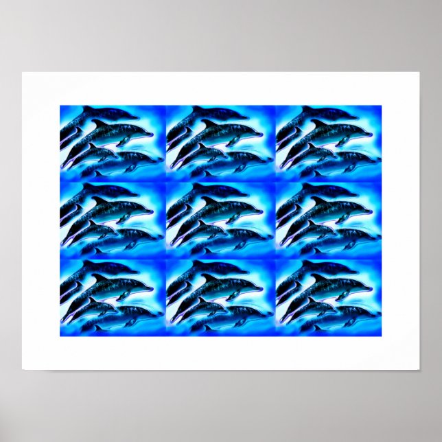 Póster Grupos de delfines (Frente)